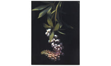 Cargar imagen en el visor de la galería, Herbarium I galería, negro/verde/morado. A120xL90½xF2cm.
