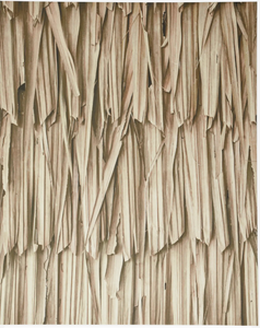 Layers of leaves gallery
